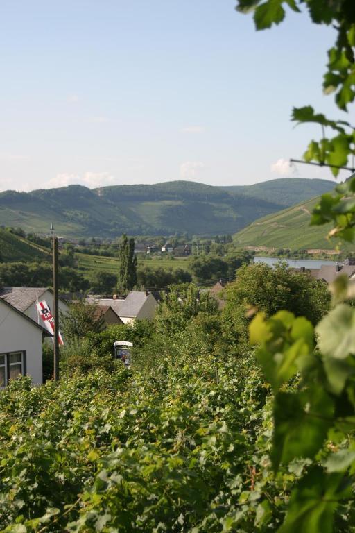 Bed and Breakfast Ferienweingut Hirschen Schulstrasse Burg  Exterior foto