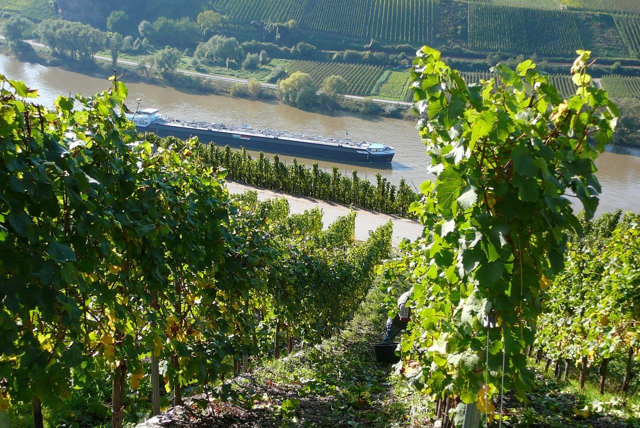 Bed and Breakfast Ferienweingut Hirschen Schulstrasse Burg  Exterior foto