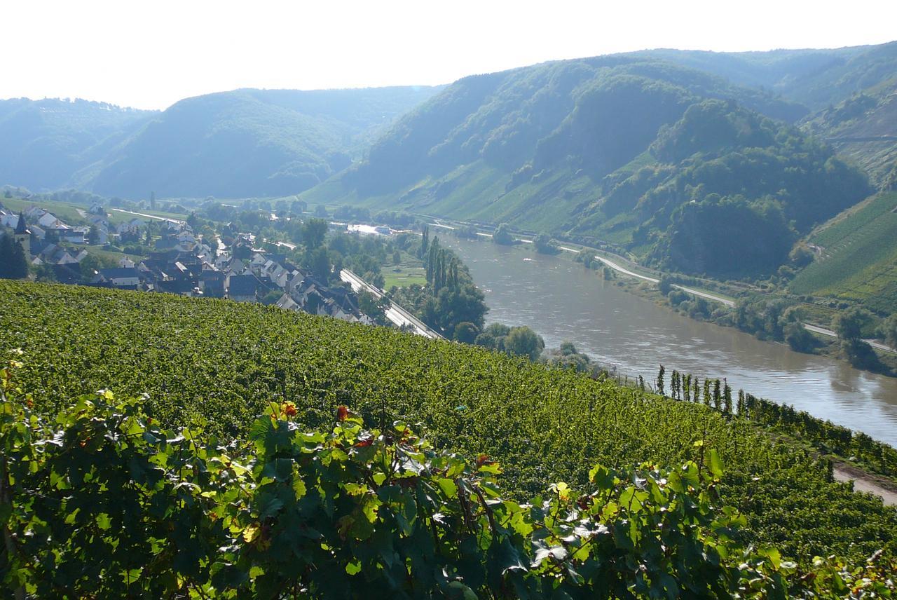 Bed and Breakfast Ferienweingut Hirschen Schulstrasse Burg  Exterior foto